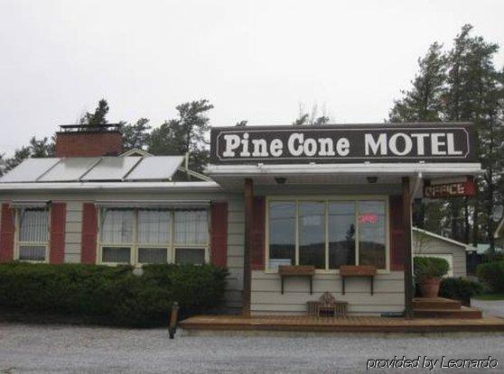 Pinecone Motel Sussex Exterior foto