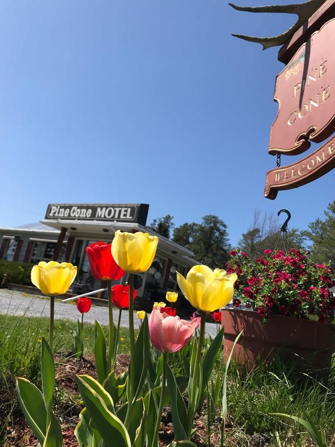 Pinecone Motel Sussex Exterior foto