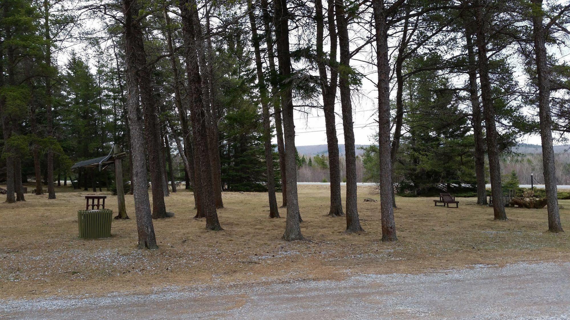 Pinecone Motel Sussex Exterior foto